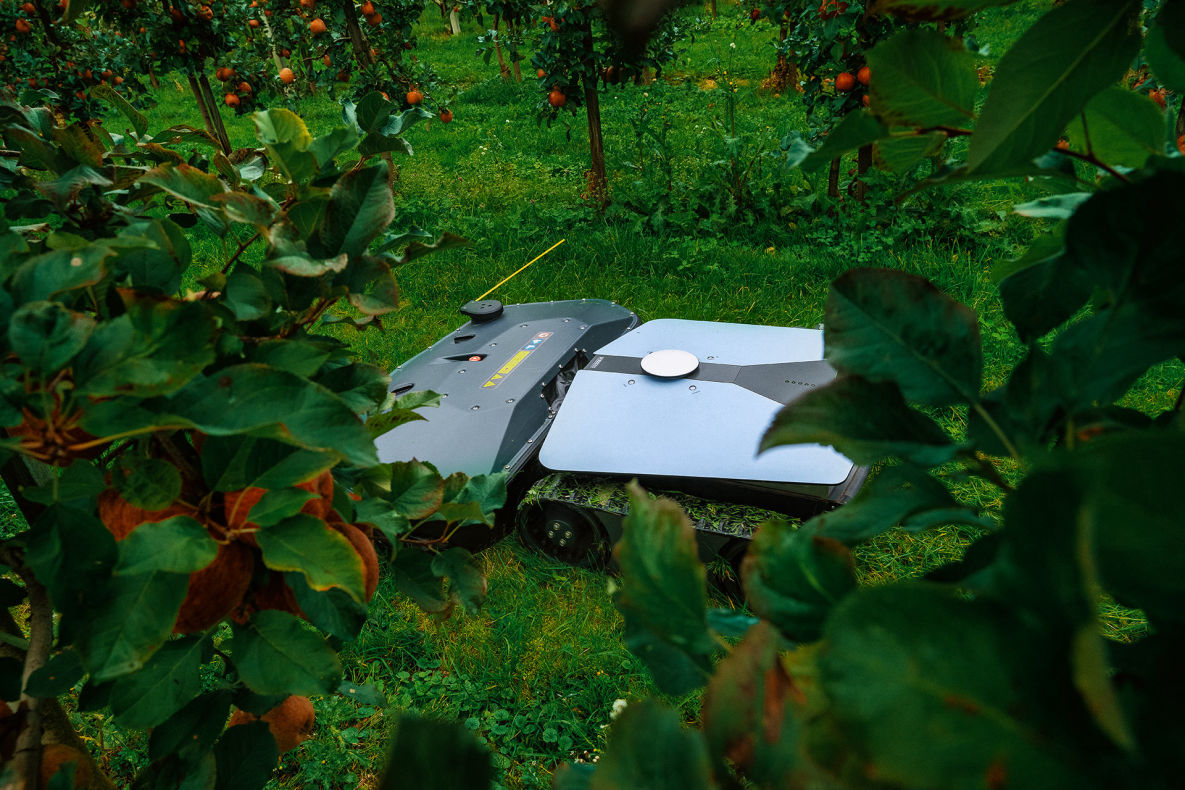 Scarabaeus mulching robot / mowing robot for agriculture